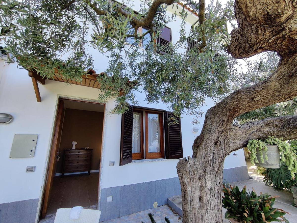 Il Nido Del Gabbiano Appartement Massa Lubrense Buitenkant foto