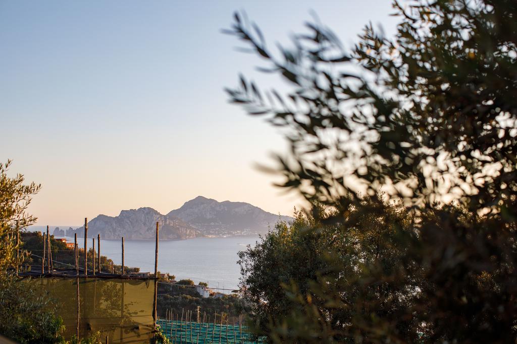 Il Nido Del Gabbiano Appartement Massa Lubrense Buitenkant foto